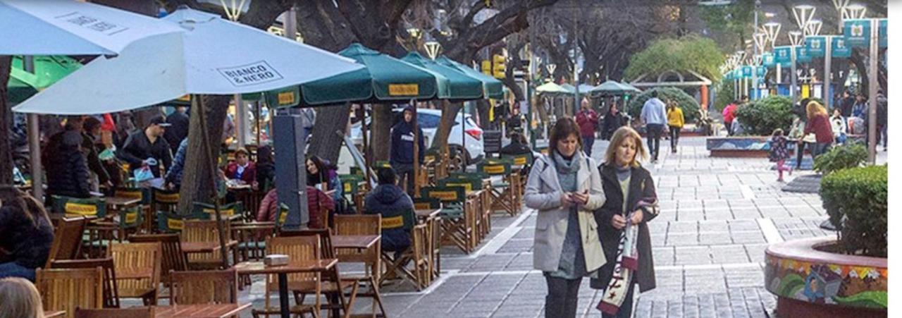Departamento Centrico, Pasos Peatonal Lejlighed Mendoza Eksteriør billede