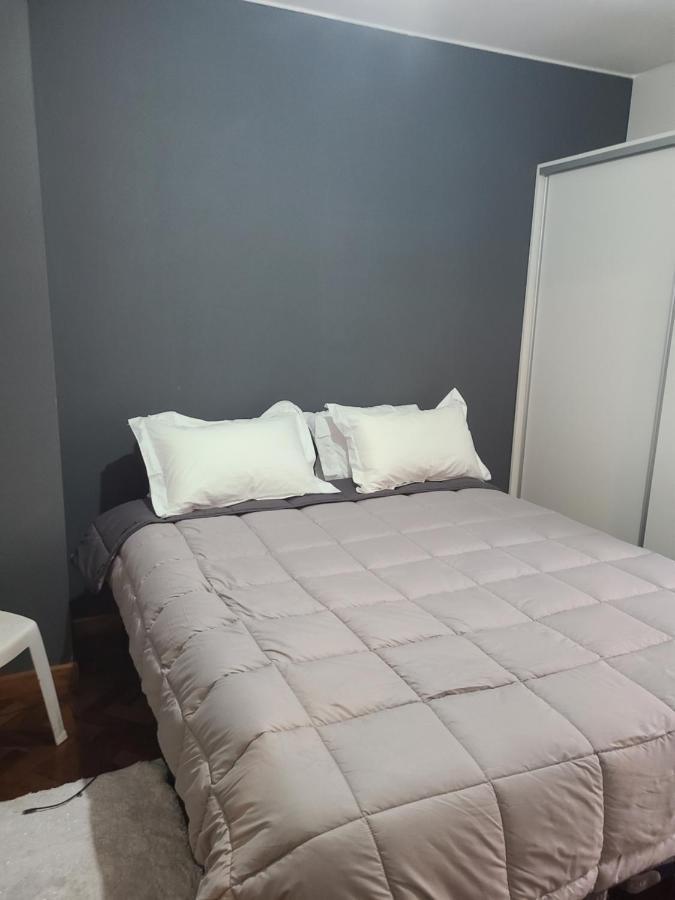 Departamento Centrico, Pasos Peatonal Lejlighed Mendoza Eksteriør billede
